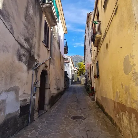 Lejlighed Casa Serenita